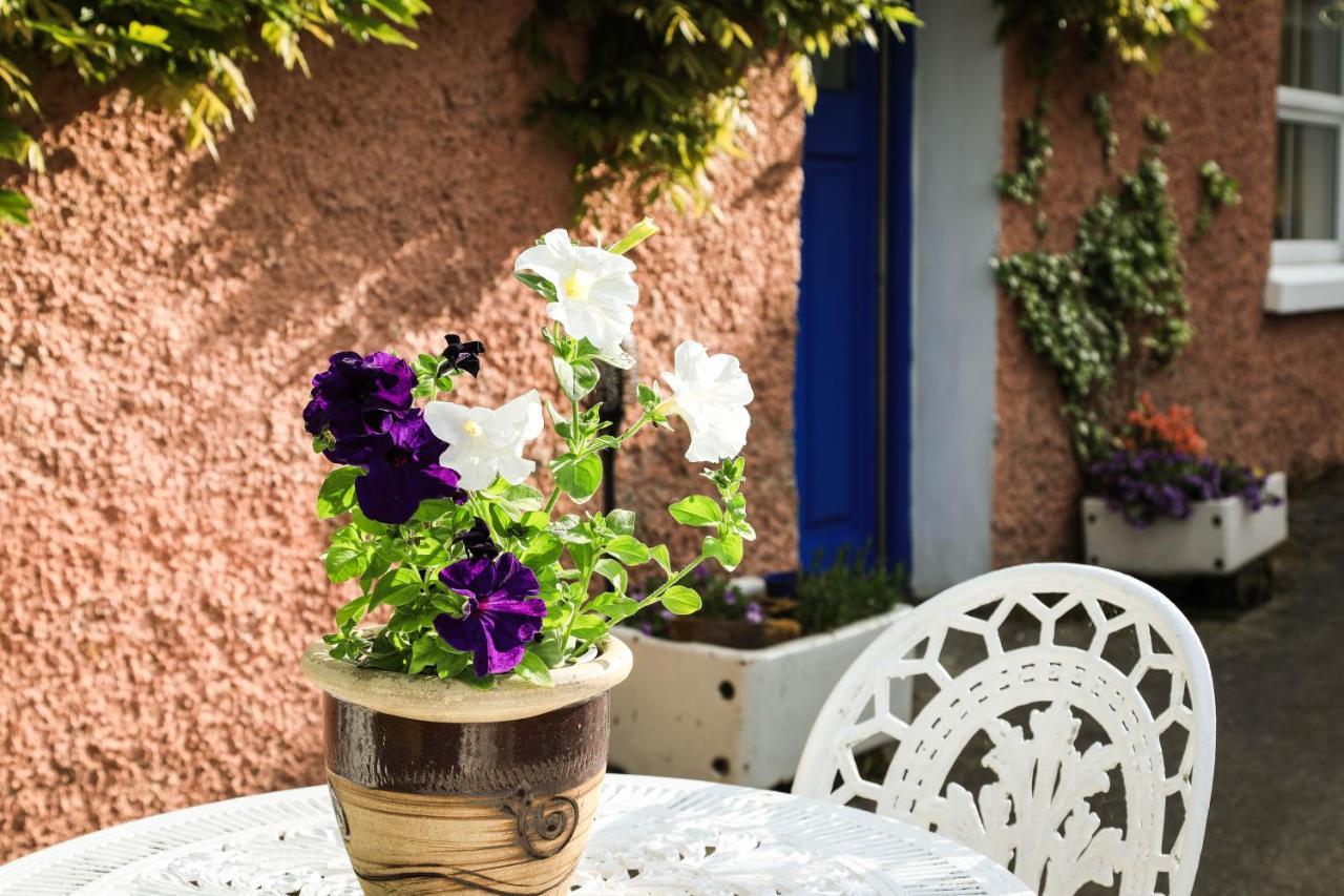 Wisteria Cottage Ballyconnell  Ngoại thất bức ảnh