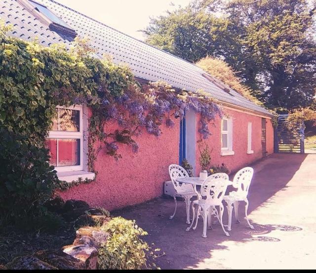 Wisteria Cottage Ballyconnell  Ngoại thất bức ảnh